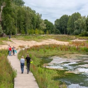 Wandelen over vlonders aan de zuidzijde van het park.